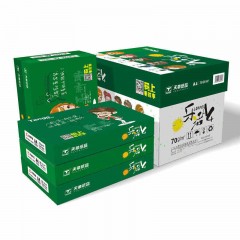 海龙a4复印纸70克80g 500张/包 5包/箱 a4纸天章风打印白纸办公纸
